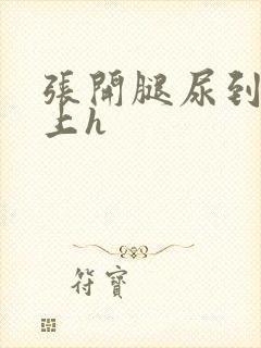 张开腿尿到镜子上h