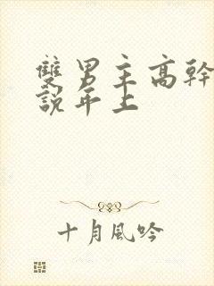 双男主高干文小说年上