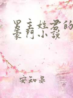 男主姓君的现代豪门小说