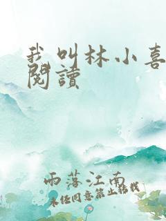 我叫林小喜在线阅读