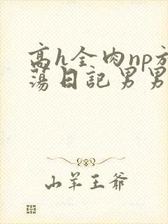 高h全肉np放荡日记男男bl