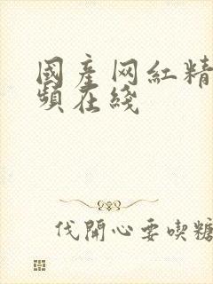 国产网红精品视频在线