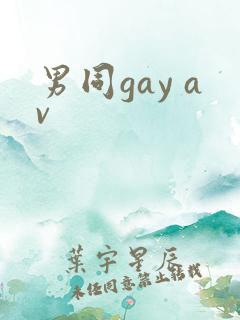 男同gay av