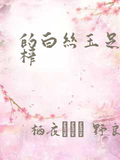 的白丝玉足给我榨