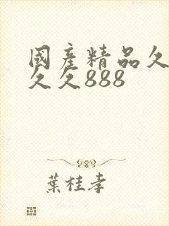 国产精品久久久久久888