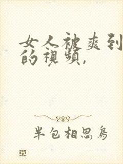 女人被爽到呻吟的视频,