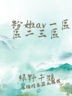 粉嫩av一区二区二三区