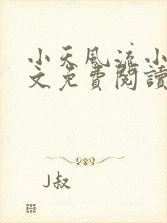 小天风流小说全文免费阅读无弹窗