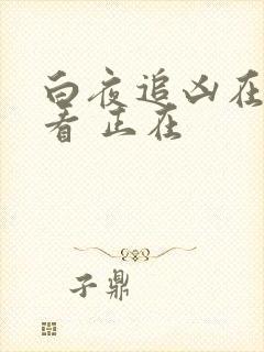 白夜追凶在线观看 正在