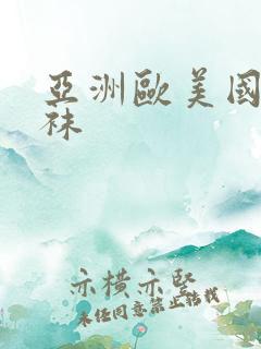 亚洲欧美国产丝袜