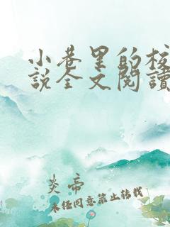 小巷里的校花小说全文阅读