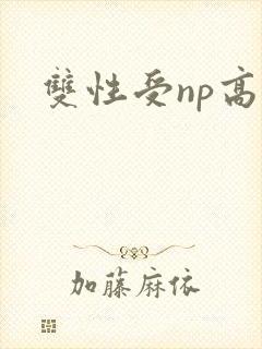 双性受np高h