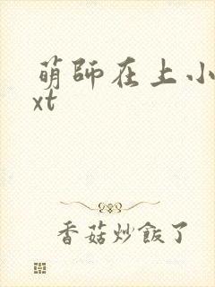 萌师在上小说txt