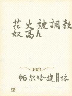 花火被调教成肉奴高h