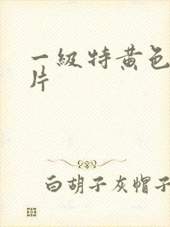 一级特黄色一级片