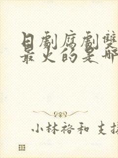 日剧腐剧双男主最火的是哪部剧