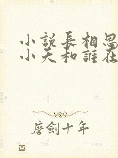 小说长相思结局小夭和谁在一起了