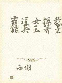 霸道女总裁的全能兵王萧晨