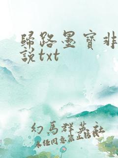 归路墨宝非宝小说txt