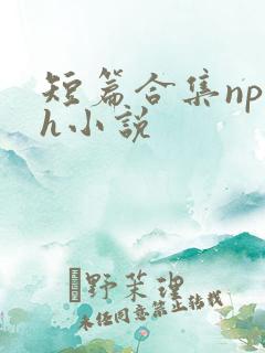 短篇合集np高h小说