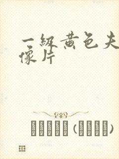 一级黄色夫妻录像片