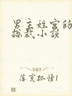 男主姓宫的现代总裁小说