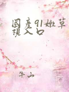 国产91嫩草影视入口