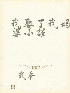 我娶了我妈当老婆小说