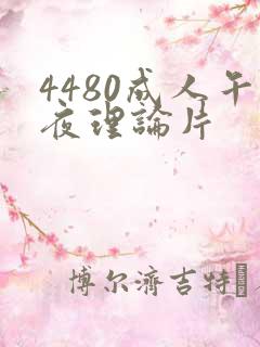4480成人午夜理论片