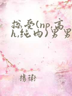 总受(np,高h,纯肉)男男
