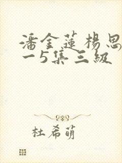 潘金莲杨思敏1一5集三级