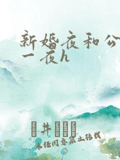新婚夜和公做了一夜h