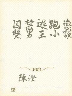 囚禁逃跑惩罚的双男主小说