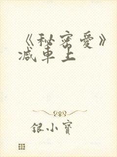 《秘密爱》未删减车上