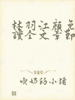 林羽江颜免费阅读全文章节