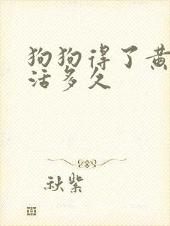 狗狗得了黄疸能活多久