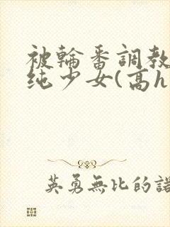 被轮番调教的清纯少女(高h