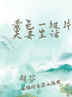 黄色一级片中国夫妻生活