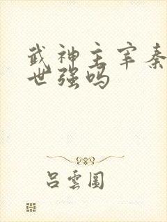 武神主宰秦尘前世强吗