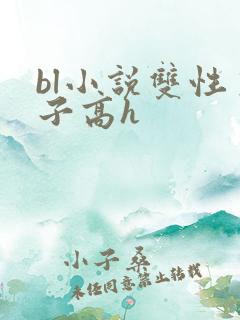 bl小说双性生子高h