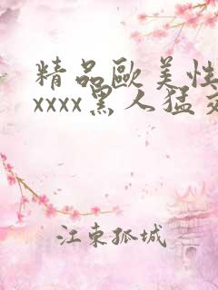 精品欧美性猛交xxxx黑人猛交