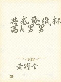 共感飞机杯嗯啊高h男男