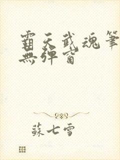 霸天武魂笔趣阁无弹窗