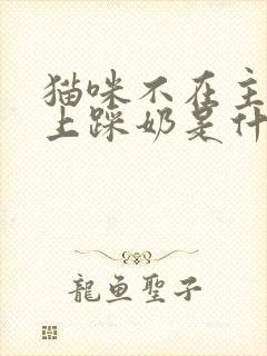 猫咪不在主人身上踩奶是什么原因