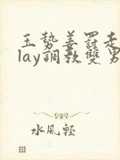 玉势姜罚走绳play调教双男主