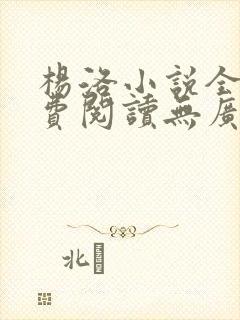 杨洛小说全文免费阅读无广告下载