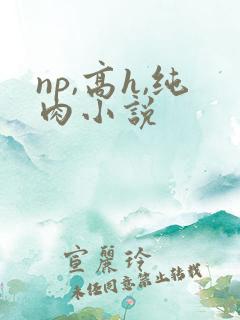 np,高h,纯肉小说