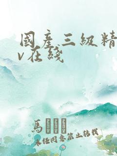 国产三级精品av在线