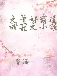 文笔好霸道总裁甜宠文小说