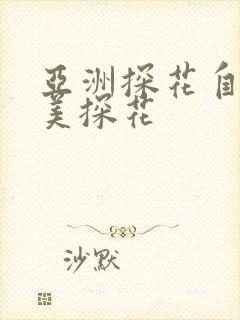 亚洲探花自拍欧美探花